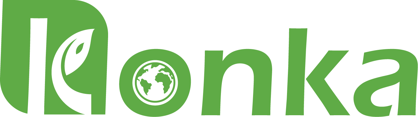 KONKA LOGO